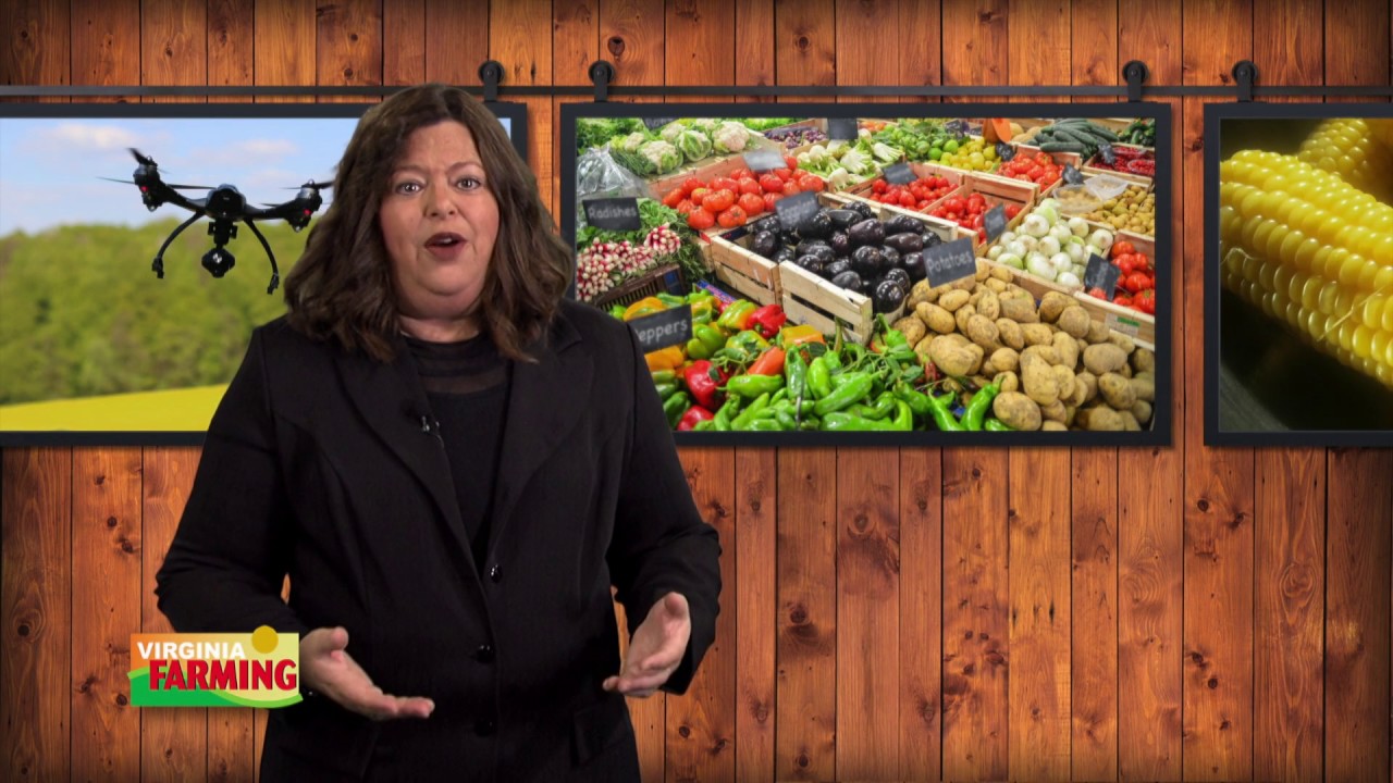 Virginia Farming Fresh and Local YouTube