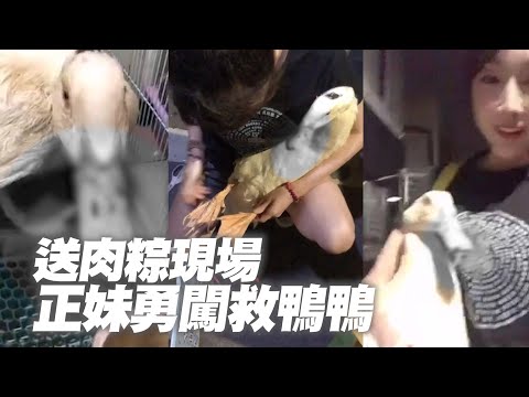 送肉粽取活雞鴨血破煞...正妹不畏沖煞勇闖救助！｜動物｜民俗信仰｜動保團體