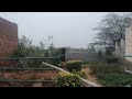 आज का vlogs जरूर देखे 🙏हम गए हमारे प्लाट में #trending #aaravsonifamily #viral #realvlogs