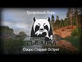 Русская Рыбалка 4!РР4!Russian Fishing 4! Трофейный Линь На Озере Старый Острог!!!