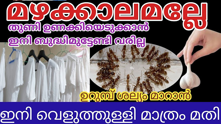 തുണികൾ വളരെ എളുപ്പത്തിൽ ഉണക്കി എടുക്കാം| ഇതുപോലെ ചെയ്തു നോക്കൂ | TIPS | Ziyas Tasty Corner|