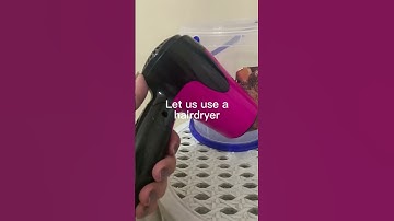 How to Easily Remove Sticky Labels | Recycling Containers