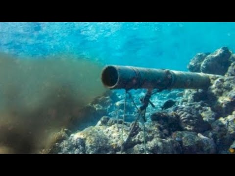 تعبير عن تلوث الماء بالفرنسية La Pollution De L Eau