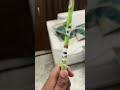 Master piece