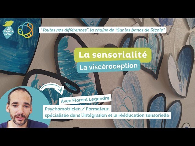 La sensorialité - Épisode 8 : la viscéroception - quand nos organes parlent à notre cerveau