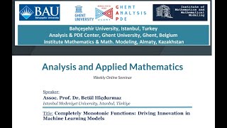 AAM Seminar - Completely Monotonic Functions: Driving Innovation inMachine Learning Models