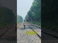 Green flag up, track is clear—train is on the way..!#reels #train #railway #green #flag #train