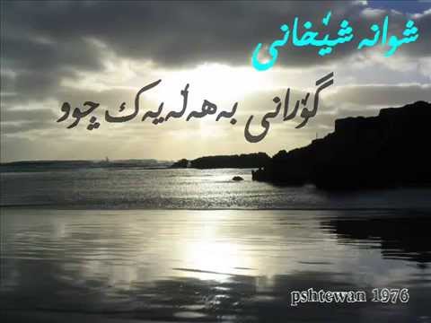 شوانه شیخانی