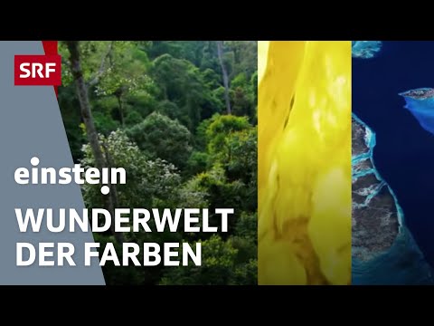 Video: Musikalische Zeichen, Symbole und Instrumente. Ein Musikstück, das zur Begrüßung gespielt wird