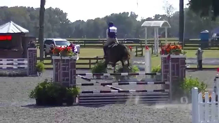 Samantha McCleery & Executive Decision OP SJ