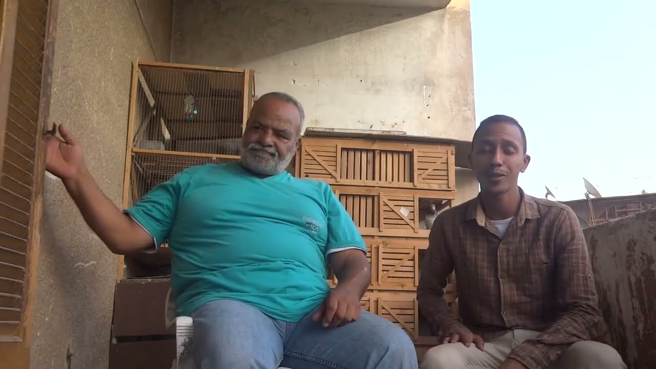 كف الغاوي المخضرم والايد الخضرة #الغاوي_محمود_المصري