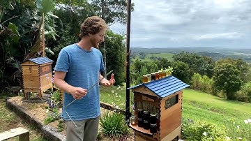 All about honey - live Q&A with Cedar Anderson