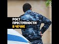 Чечня – лидер по росту преступности #shorts