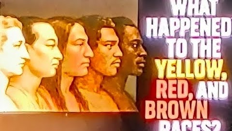 Yellow, Red, & Brown Races