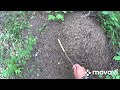 Сбор грибов и малины # Mini GPS