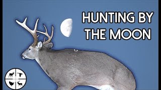 Moon Chart Buck