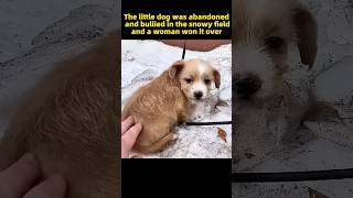 Cute puppy rescue story
