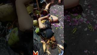 Download Lagu Santai dulu kawan #jaranan #kesurupan #jathilan #kudalumping MP3