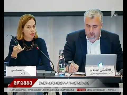 „ევროპული საქართველოს“ შეხვედრა არასამთავრობოებთან