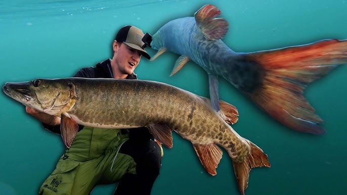 Musky fishing tips from a Hall of Famer - EverybodyAdventures