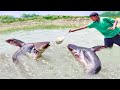 Fishing Video || I was amazed at the fishing talent of the traditional boy || Fish catching trap