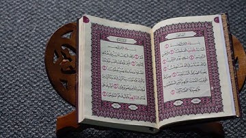 سورة الفاتحة مكررة 