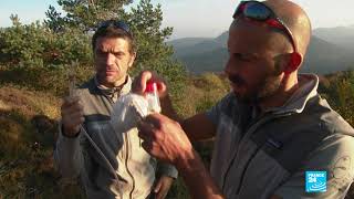 Treasures of the volcanoes: France's Auvergne mountains