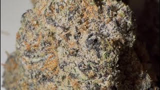 Zeclair Strain Review : StrainAfterStrain Reviews 