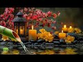 Beautiful Relaxing Music to Stop Overthinking | Nature Sounds & Sleep Music for Stress Relief, BGM