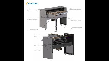 Egg grader, single perions can opeation Egg grading machine, sorting egg by weight