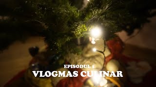 #1 VLOGMAS CULINAR•RETETA DE SARAMURA DE PUI CU MAMALIGUTA AROMATIZATA CU ROZMARIN❄