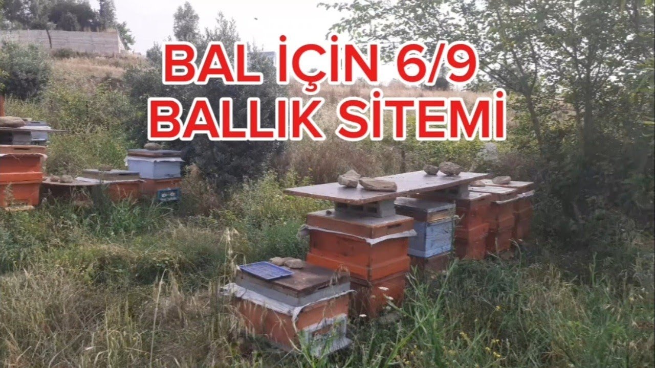 Bal Akımına yakın 6/9 Ballık koyma Yöntemi