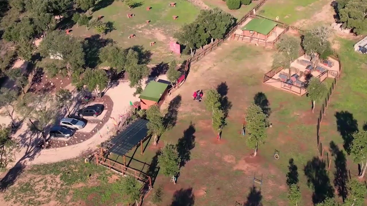 Above apresenta: Hotel Canino Casal São Martinho