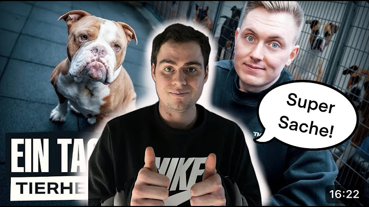 1 Tag im Tierheim - So ist es wirklich - Reaktion