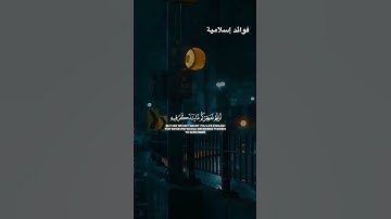 تلاوة خاشعة محمد لحيدان (وهم يصطرخون فيها ربنا أخرجنا نعمل صالحا)