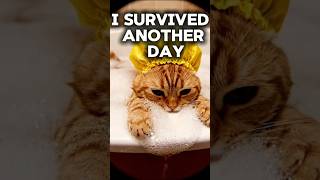 Resetting after a breakdown: I survived another day. 🤍 shorts