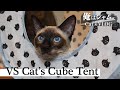 Siamese Cat VS Cube Type Cat Tent