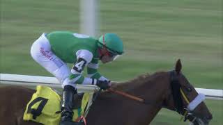 Vidéo de la course PMU PREMIO SACRISTY (2015)