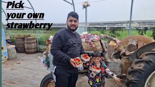 Trip to Strawberry farms in England/ Kenyon Hall Farm #vagetablegarden #strawberryfarm #familyvlog Trip to Strawberry farms in England/ Kenyon Hall Farm #vagetablegarden #strawberryfarm #familyvlog