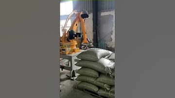Fully automatic robot palletizer