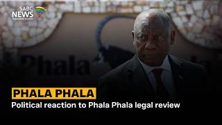 Political reaction to Phala Phala legal review
