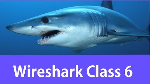 Wireshark Certified Network Analyst Class #6