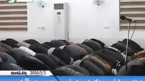 تلاوة مؤثرةمن سورة فصلت القارئ عمر عبدالله