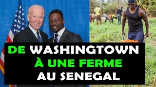 De la Maison Blanche pour se lancer dans l'agriculture en Afrique : L'histoire de Thione Niang