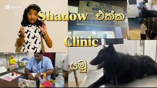 Shadow එකක Clinic යම Of Irudi S Clinic