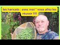 Les haricots verts  : ON SE DIT TOUT ET COMMENT SEMER  !  !