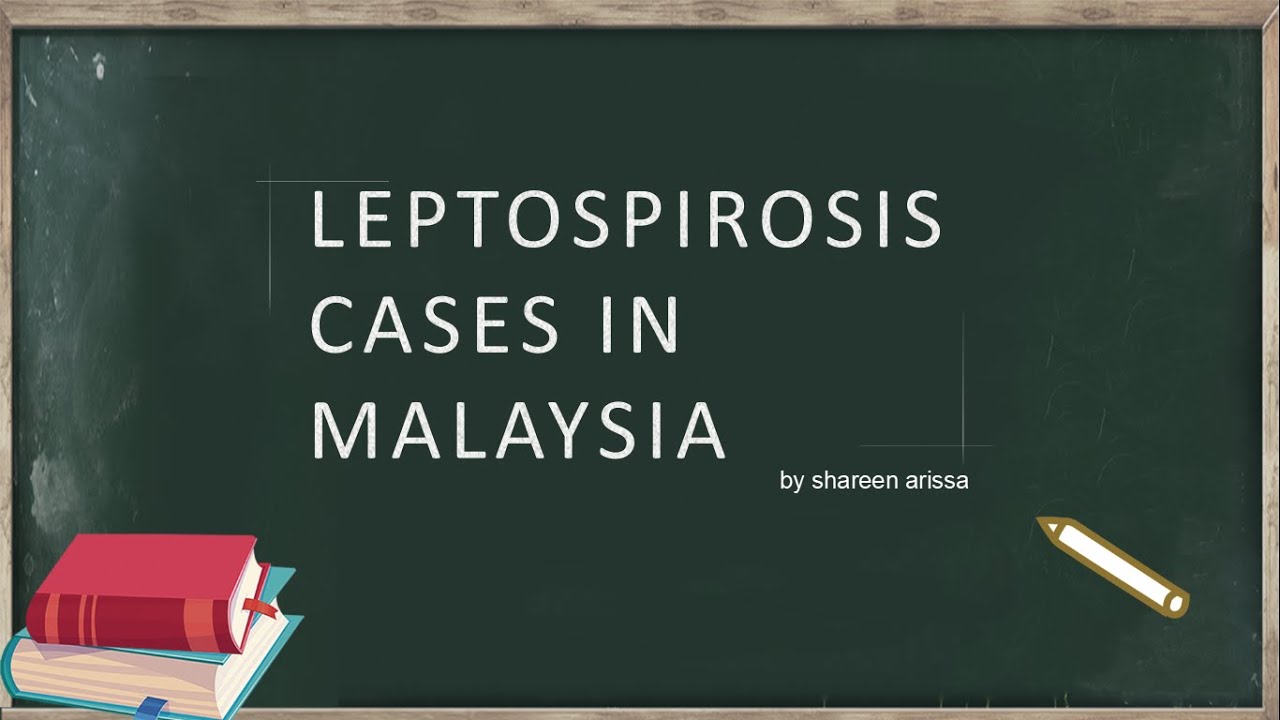 LEPTOSPIROSIS CASES IN MALAYSIA YouTube