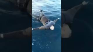 حراكة وسط البحر   الله يرحمه                                  حراق  حراكة سمعها