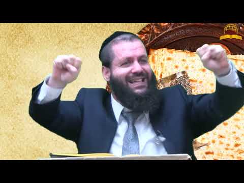 מידע או חוויה? השיעור שישנה לכם את שולחן החג | הרב גדליה הופנונג