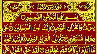 Surah Yaseen Surah Rahman || Most Qur'an Tilawat || Surah Yasin Tilawat || Best Qur'an Tilawat